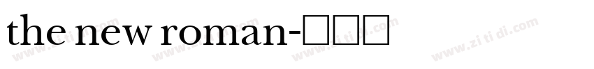 the new roman字体转换